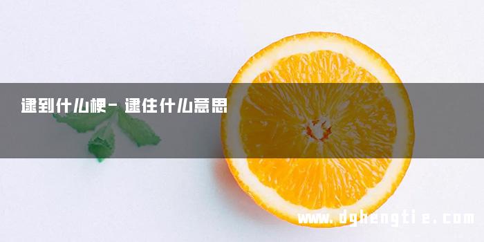 逮到什么梗-逮住什么意思 